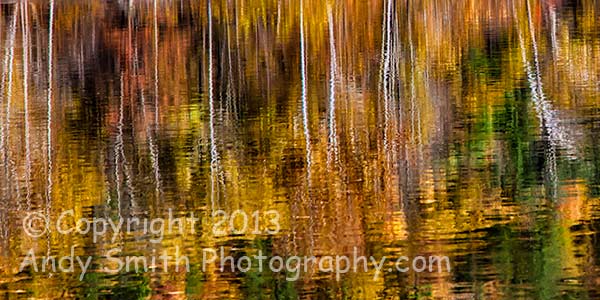 Lackawaxen River Fall Reflection